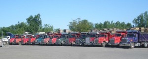 fleet of dump trucks